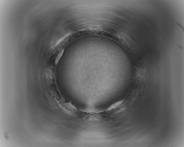 X0000099381110200805151612