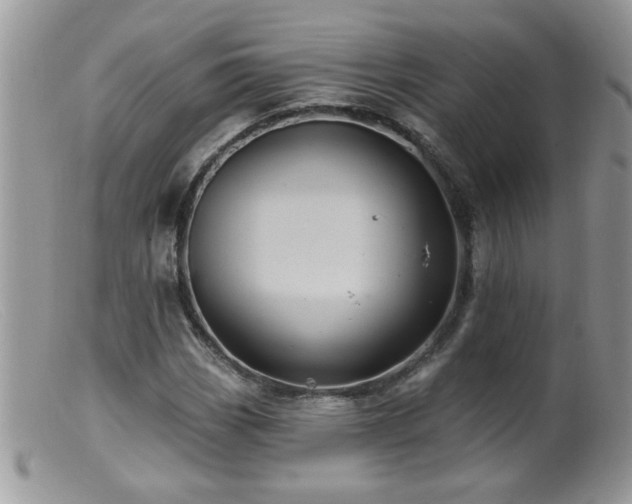 X0000099381113200805151612