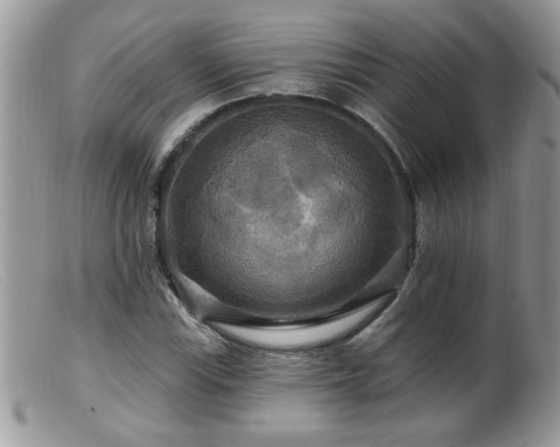 X0000099381115200805151612