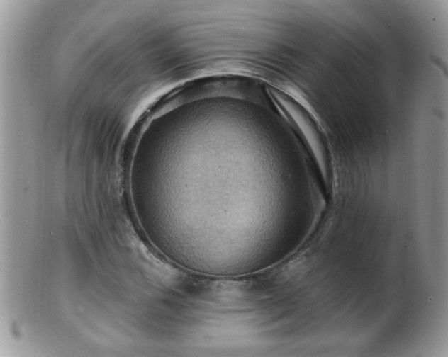 X0000099381116200805151612