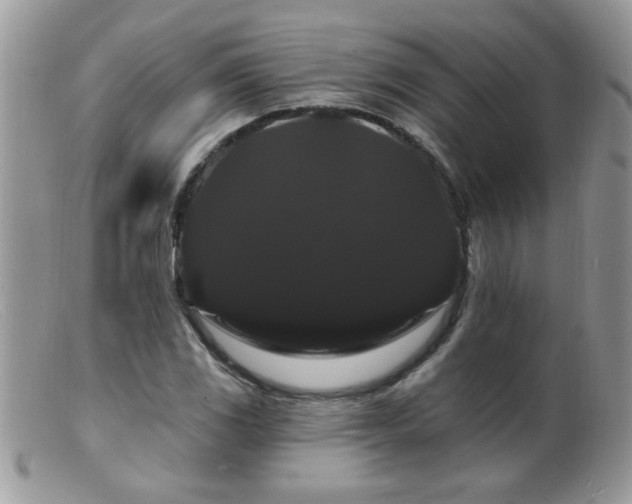 X0000099381117200805151612