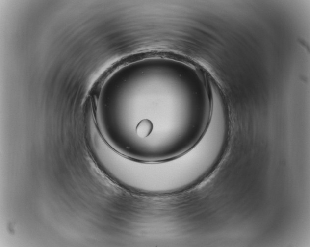 X0000099381118200805151612