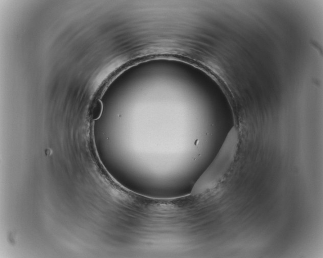 X0000099381119200805151612