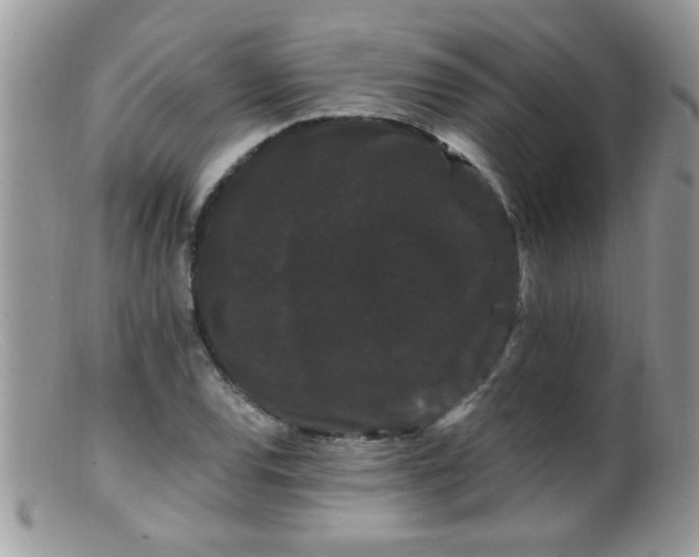 X0000099381120200805151612