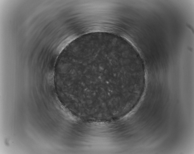 X0000099381121200805151612