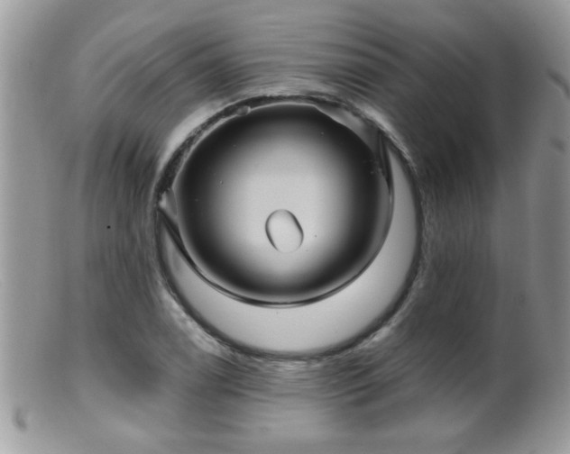 X0000099381122200805151612