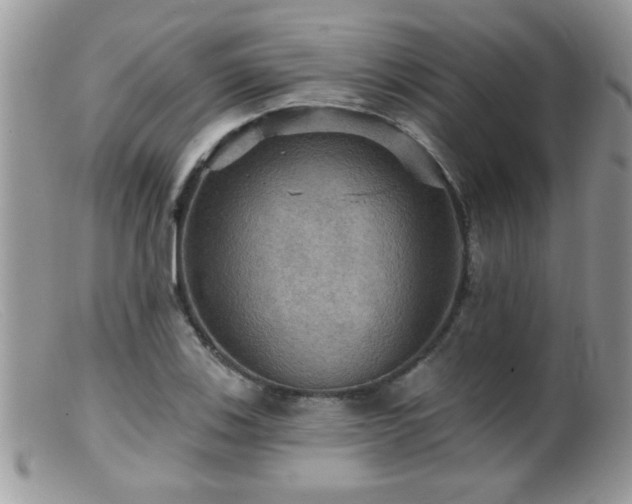 X0000099381123200805151612