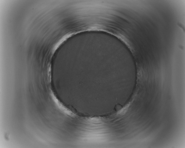 X0000099381126200805151612