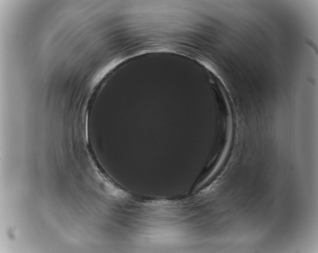 X0000099381127200805151612