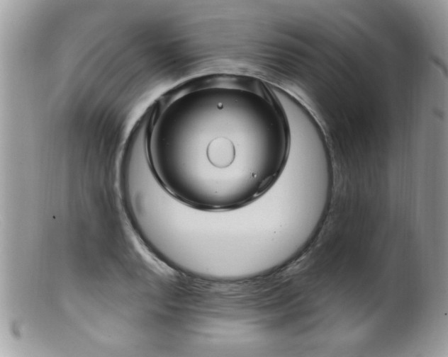 X0000099381128200805151612