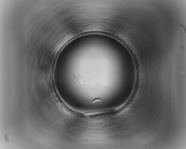 X0000099381129200805151612