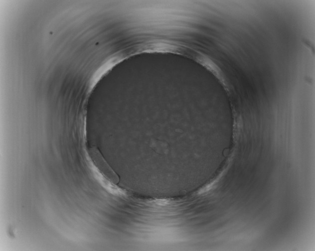 X0000099381130200805151612