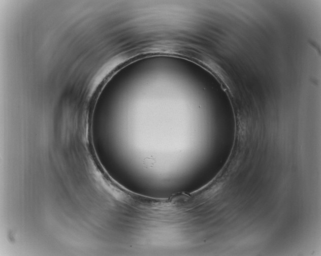 X0000099381131200805151612