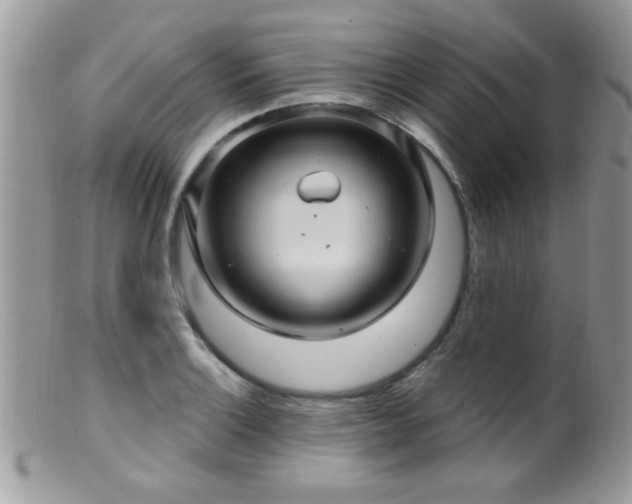 X0000099381132200805151612