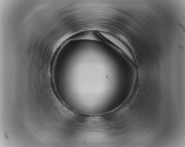 X0000099381133200805151612