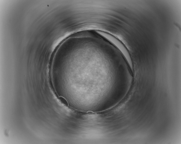 X0000099381134200805151612