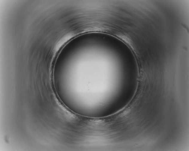 X0000099381135200805151612