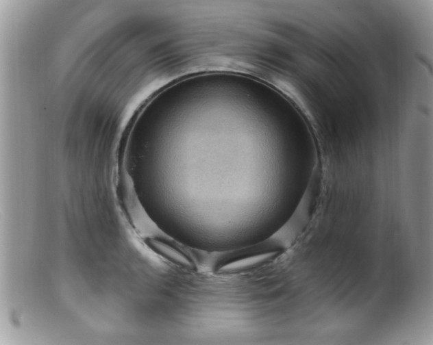 X0000099381136200805151612