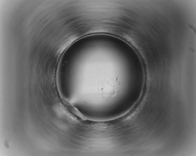 X0000099381137200805151612