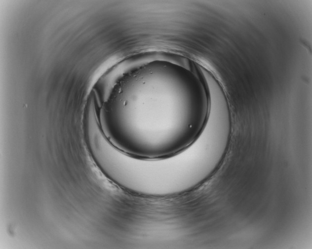 X0000099381138200805151612