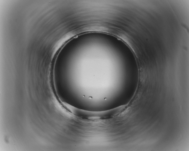 X0000099381139200805151612