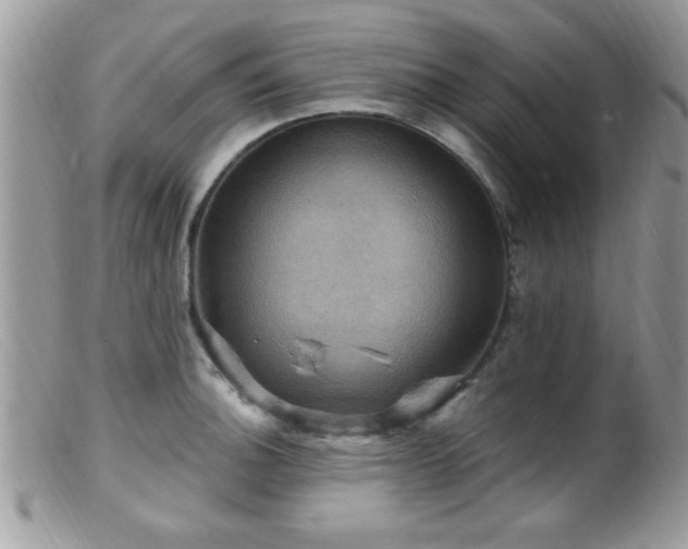 X0000099381140200805151612