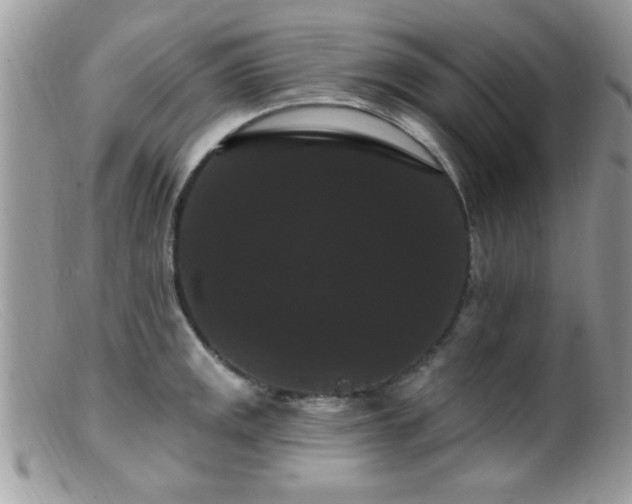 X0000099381141200805151612