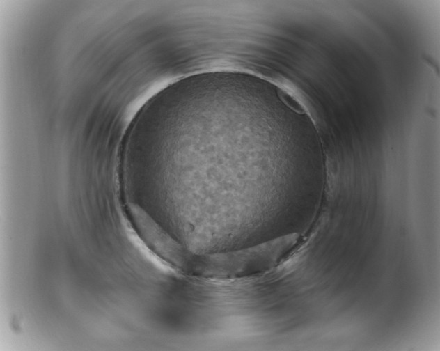 X0000099381142200805151612