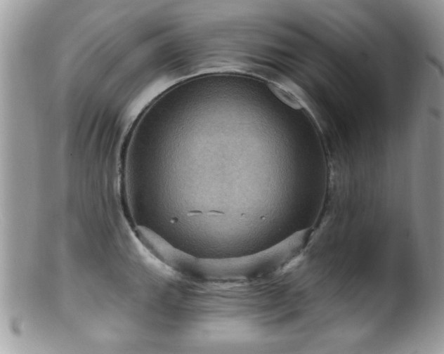 X0000099381143200805151612