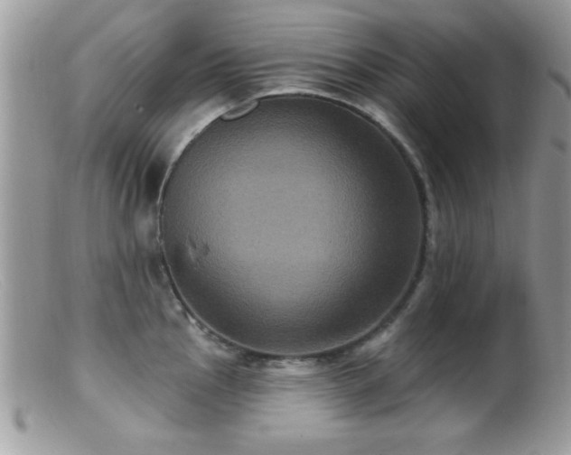 X0000099381145200805151612