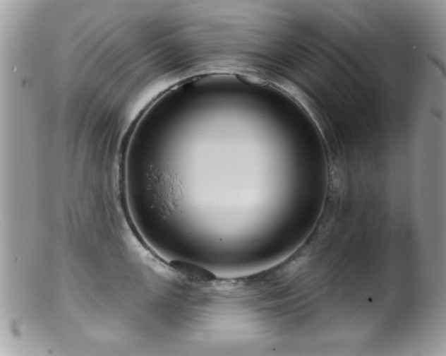 X0000099381147200805151612