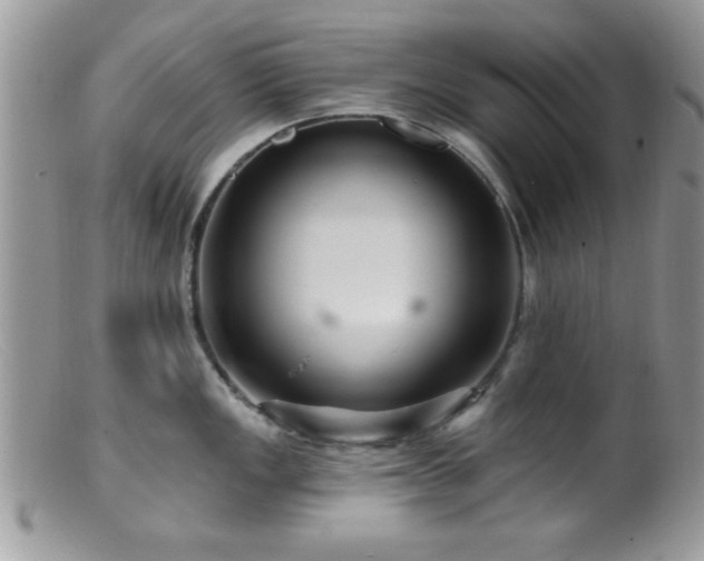 X0000099381149200805151612