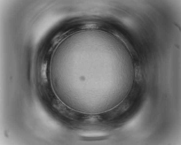 X0000099381150200805151612