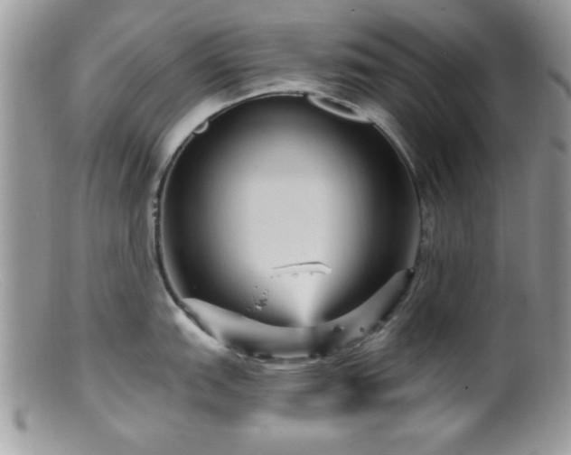 X0000099381151200805151612