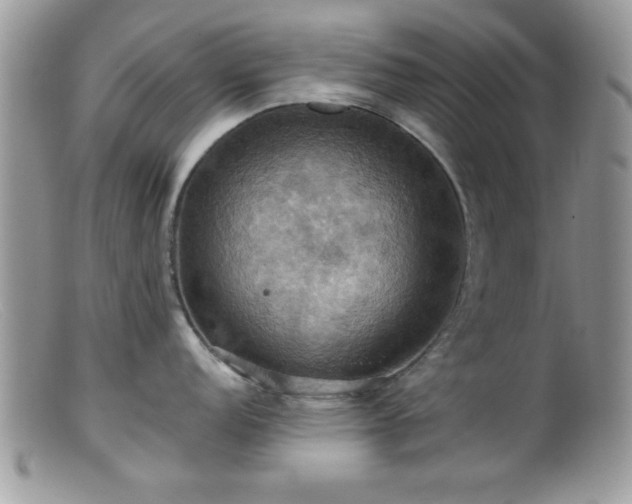 X0000099381152200805151612