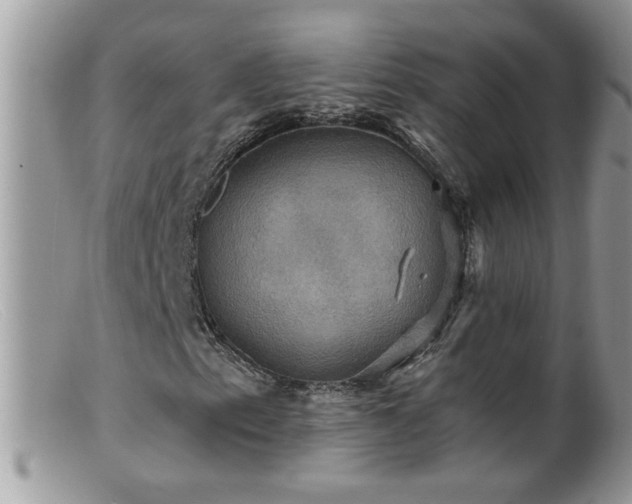 X0000099381153200805151612