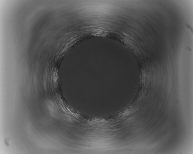 X0000099381154200805151612