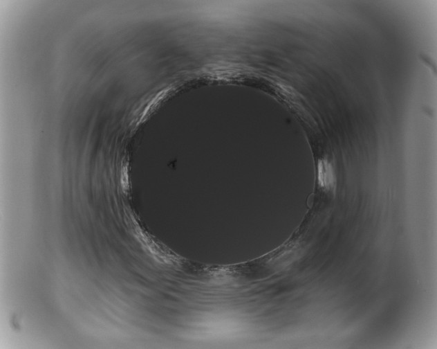 X0000099381155200805151612