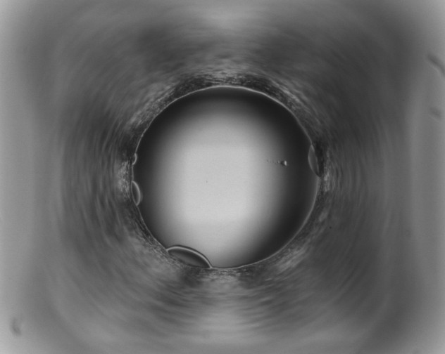 X0000099381156200805151612