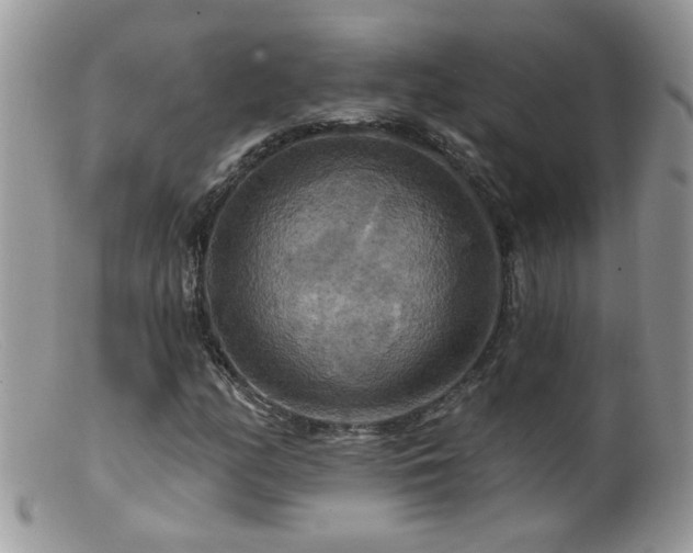 X0000099381158200805151611