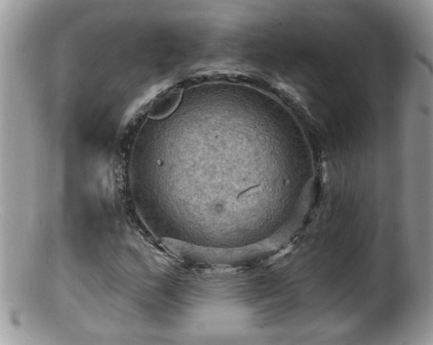 X0000099381159200805151611