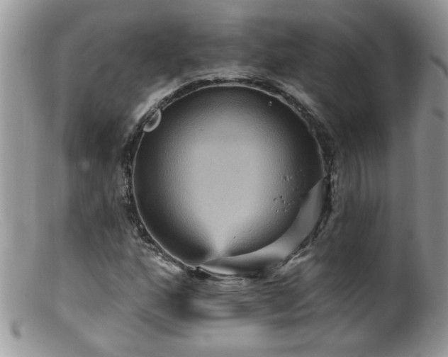 X0000099381160200805151611