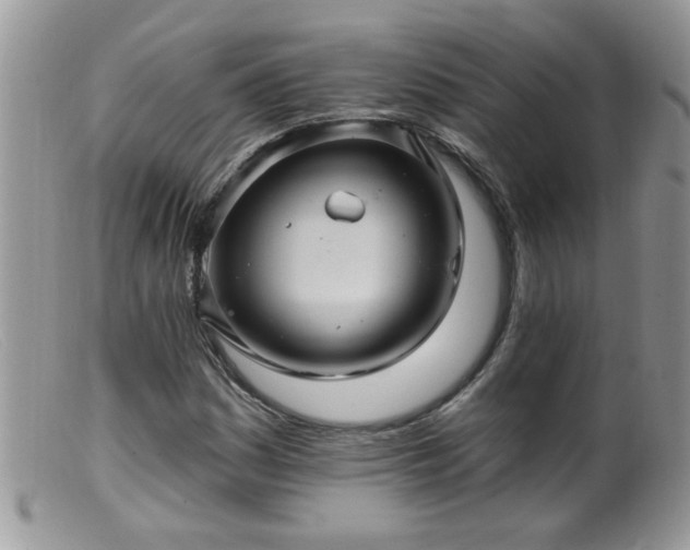 X0000099381161200805151611