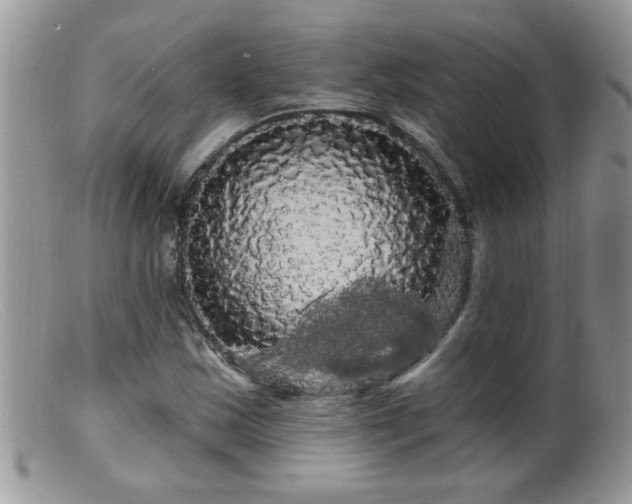 X0000099381163200805151611