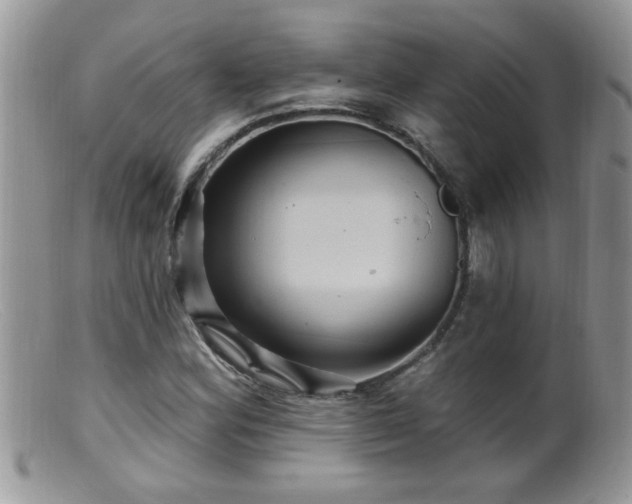 X0000099381164200805151611