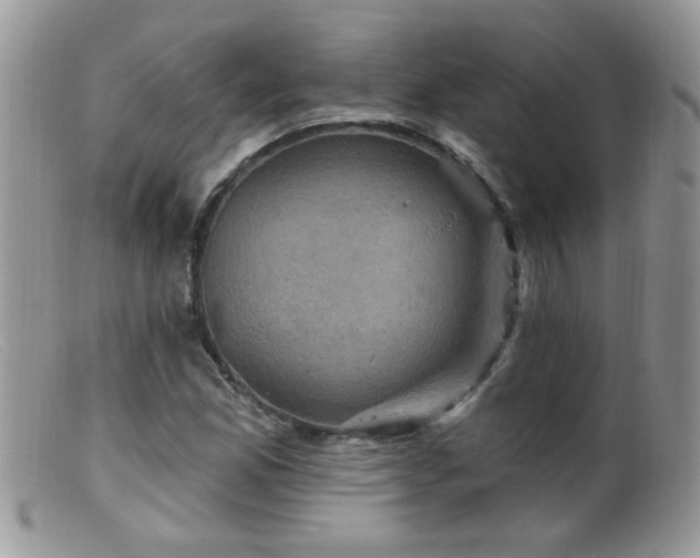 X0000099381165200805151611