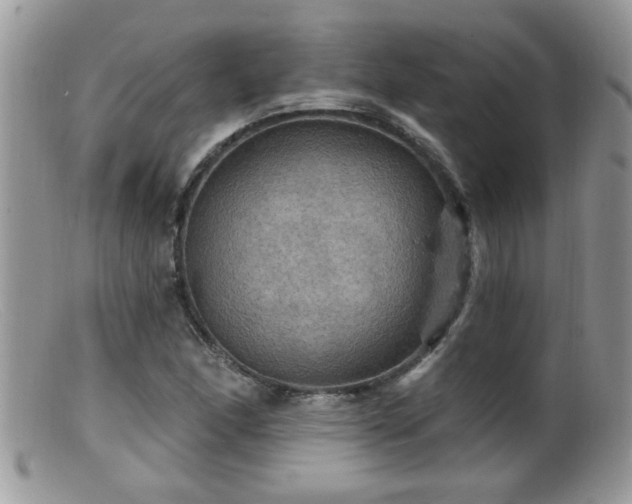 X0000099381166200805151611