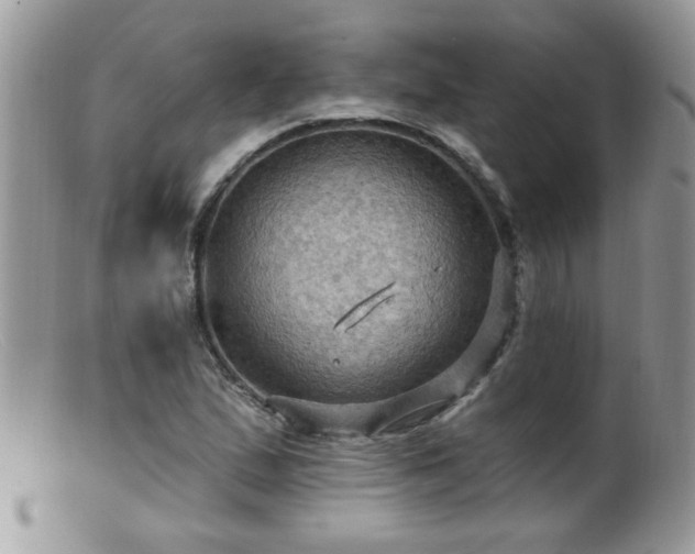 X0000099381167200805151611