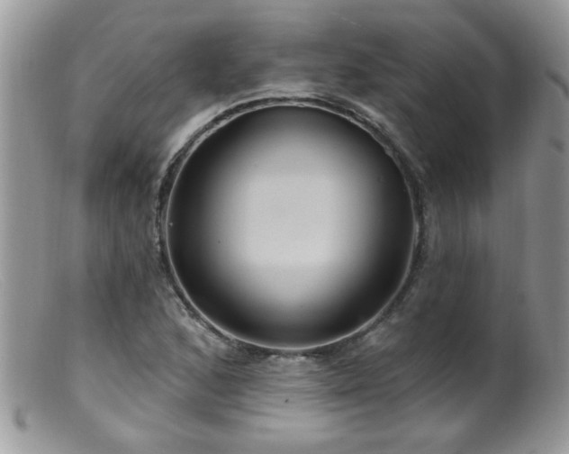 X0000099381168200805151611