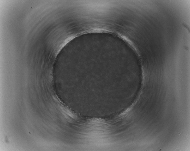 X0000099381170200805151611